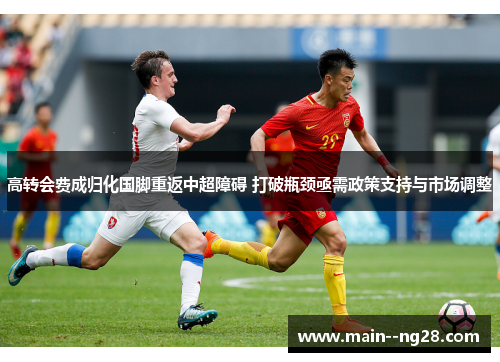 高转会费成归化国脚重返中超障碍 打破瓶颈亟需政策支持与市场调整 高转会费成归化国脚重返中超障碍 打破瓶颈亟需政策支持与市场调整