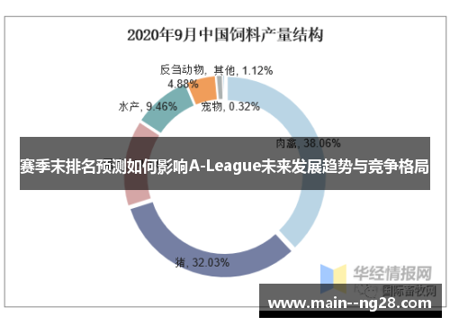 赛季末排名预测如何影响A-League未来发展趋势与竞争格局 赛季末排名预测如何影响A-League未来发展趋势与竞争格局